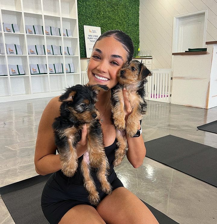 About Tyla Yorkshire Terrier