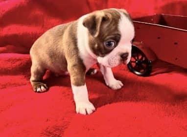 photo_2025-12-29_22-14-48