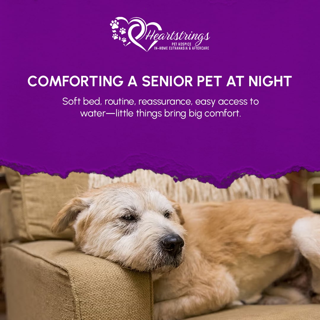 Heartstrings Pet Hospice