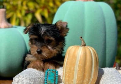 655579771_122095394708922139_5452428347596488657_n