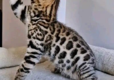 658141334_122100137942849631_3042043651220188382_n