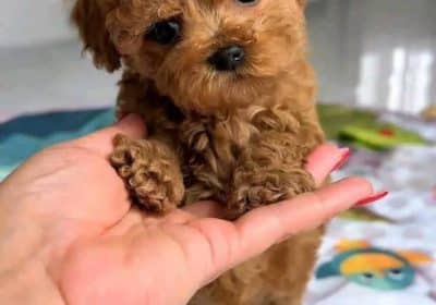 667910626_924256630223574_4752887336313906596_n